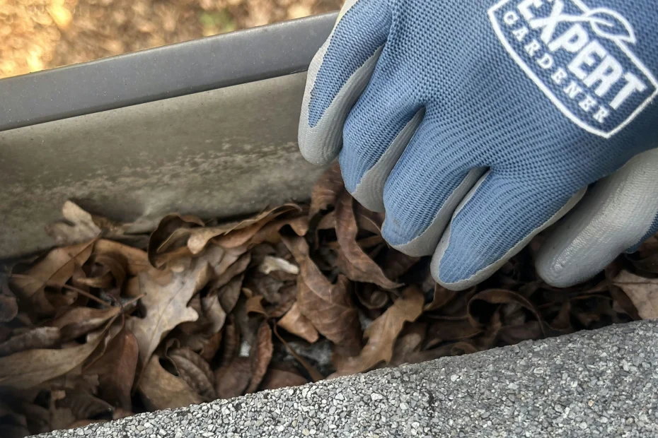 Gutter Cleaning Lantana TX