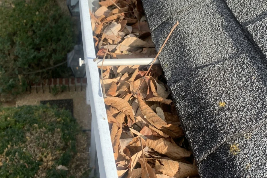 Gutter Cleaning Lantana TX