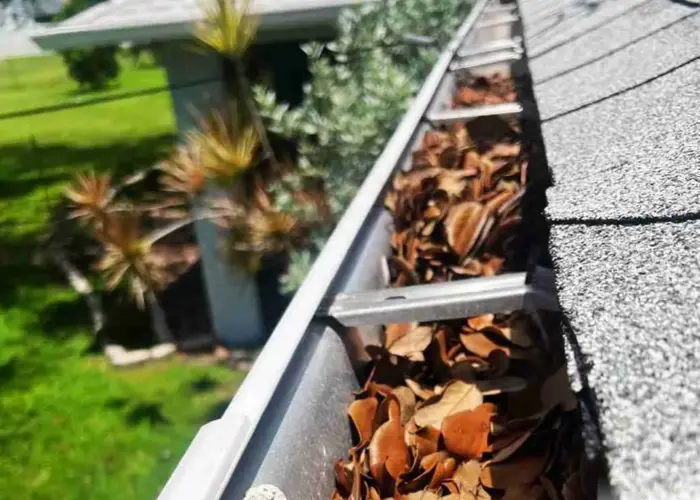 Gutter Cleaning Lantana TX home page